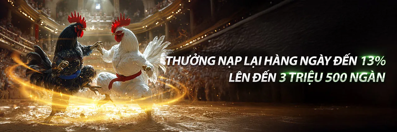 Đá Gà Trực Tuyến 678wim