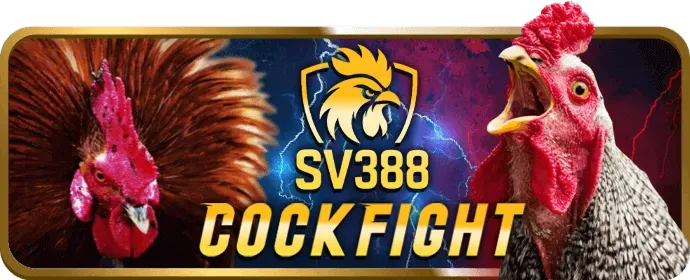 Hỗ trợ khách hàng 678wim